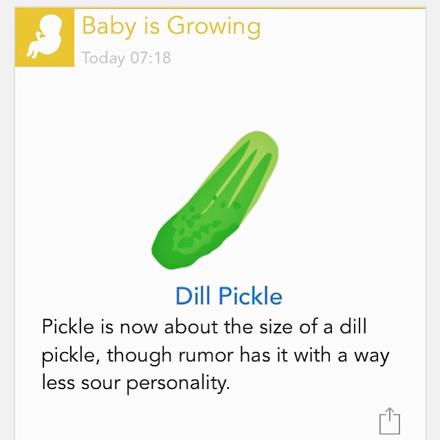 16 Weeks: Update from Mom