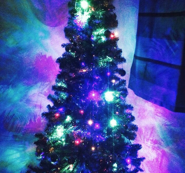 Christmas Tree vs. Dinner