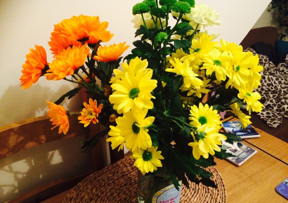 21 Weeks: Update from Mom