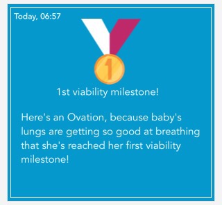 24 Weeks: Update from Mom