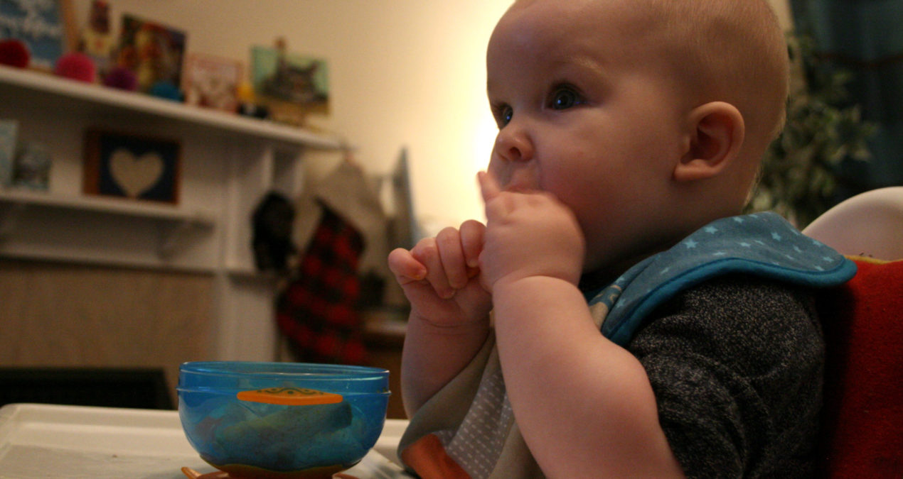 Pickle’s first baby tooth