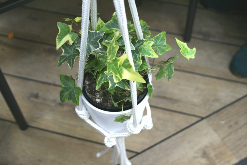 Macrame Plant Pot Holder Homebase Mothers