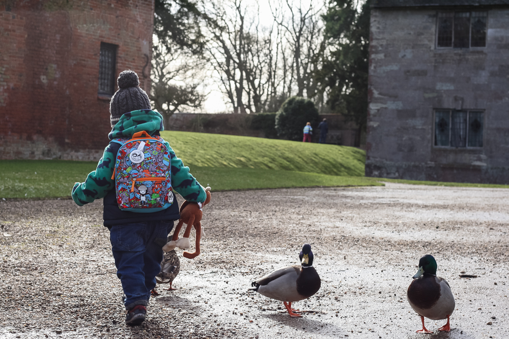 Pickle walking off into the distance wearing his rucksack and carrying Monkey