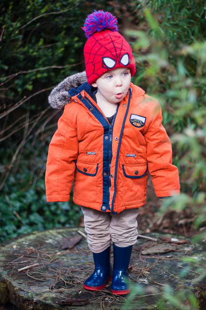 cheeky face of Pickle stood on a log
