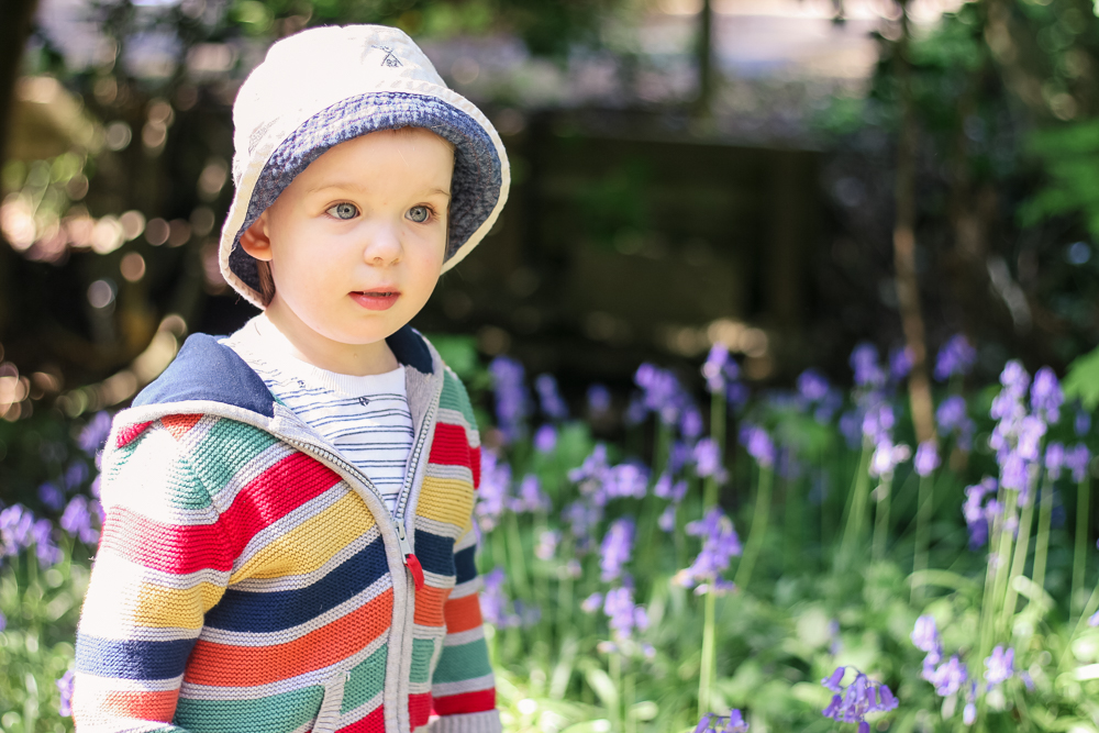 The Ordinary Moments – Feeding the Ducks