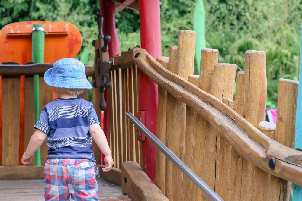 Pickle playing on the Tree Fu Tom playground