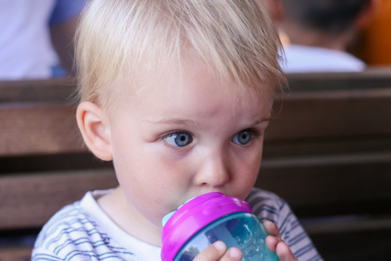 Pickle enjoying a sip of juice on the train back to Thomasland