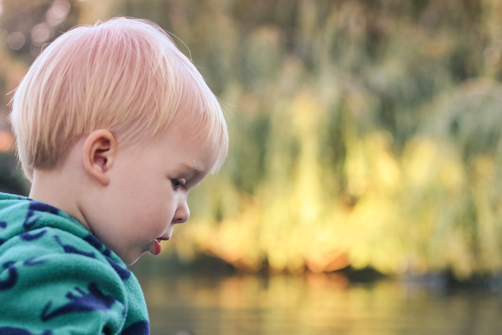 Finding our New ‘Lake’ at the New House