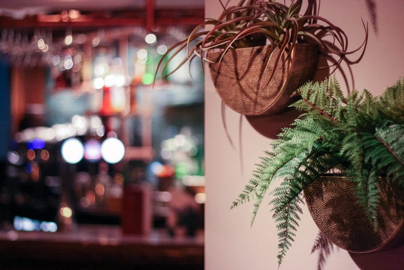 Love thee hanging plants at the new look Victoria Inn Barnt Green