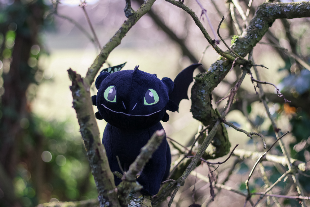 Lessons Learned from How to Train Your Dragon