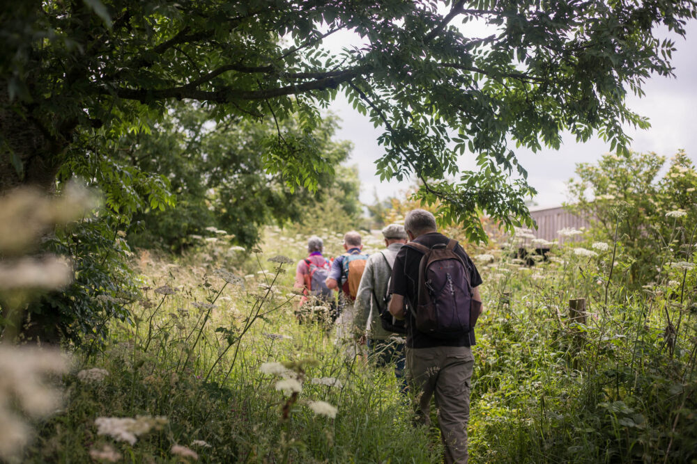 A group of hikers on a Walking The Hills MeetUp near Snowshill Lavender
