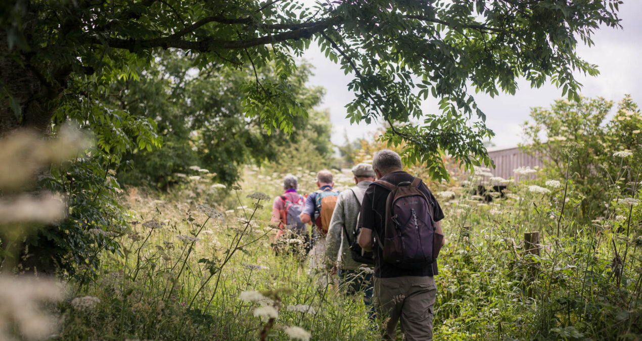 Hiking: Joining Organised Walks