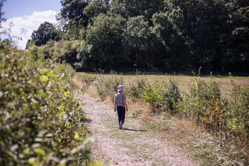 Pickle walking towards St. Mary the Virgin Church in Hanbury on the family friendly Hanbury circular walk