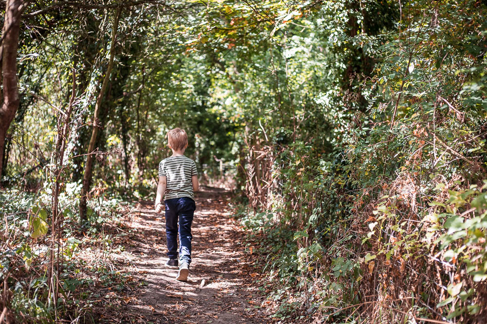 Pickle walking away from the camera through woodland in dappled light