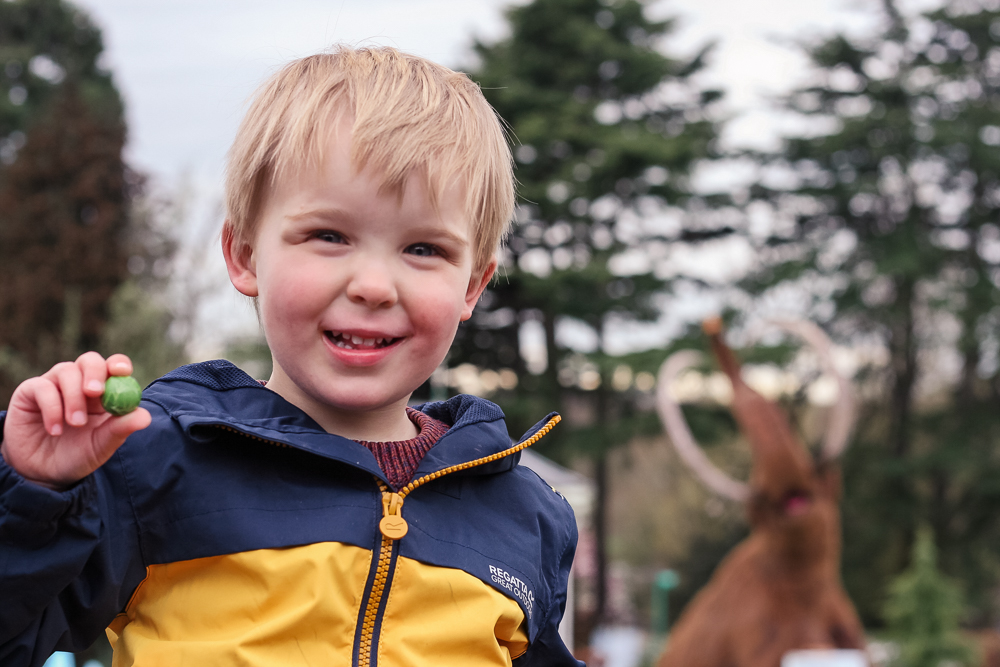 Ice Age: The Lost Kingdom at Birmingham Botanical Gardens